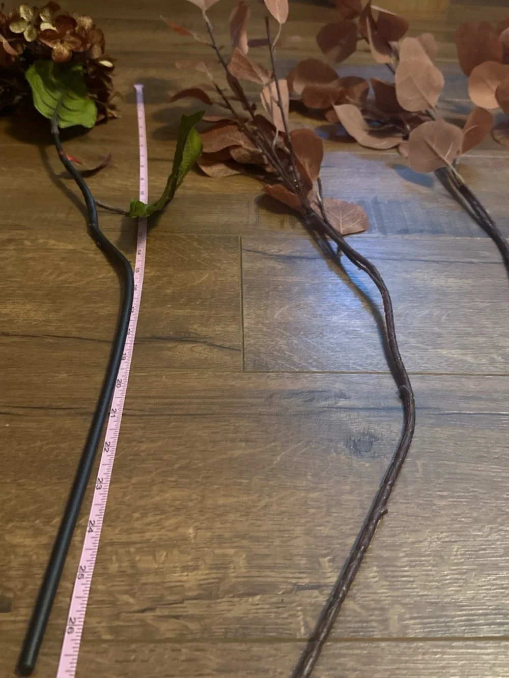 Fall flowers and plants